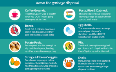 What should you not put down a garbage disposal