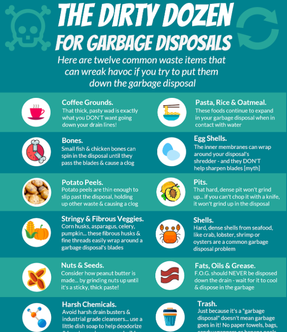what should you not put down a garbage disposal